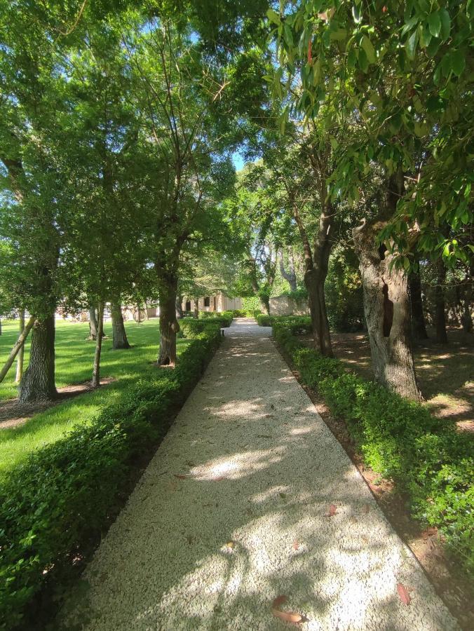 Les Chambres Du Prieure Pézenas Exterior foto